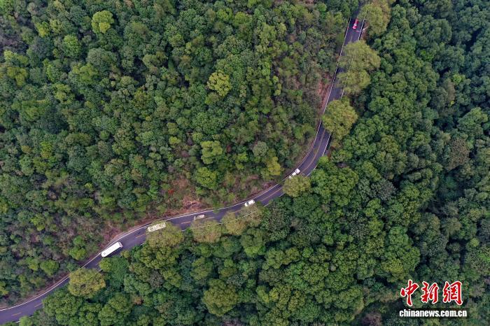 10月16日,车辆在蜿蜒的江西庐山登山公路上行驶。(无人机照片)中新社记者 刘占昆 摄