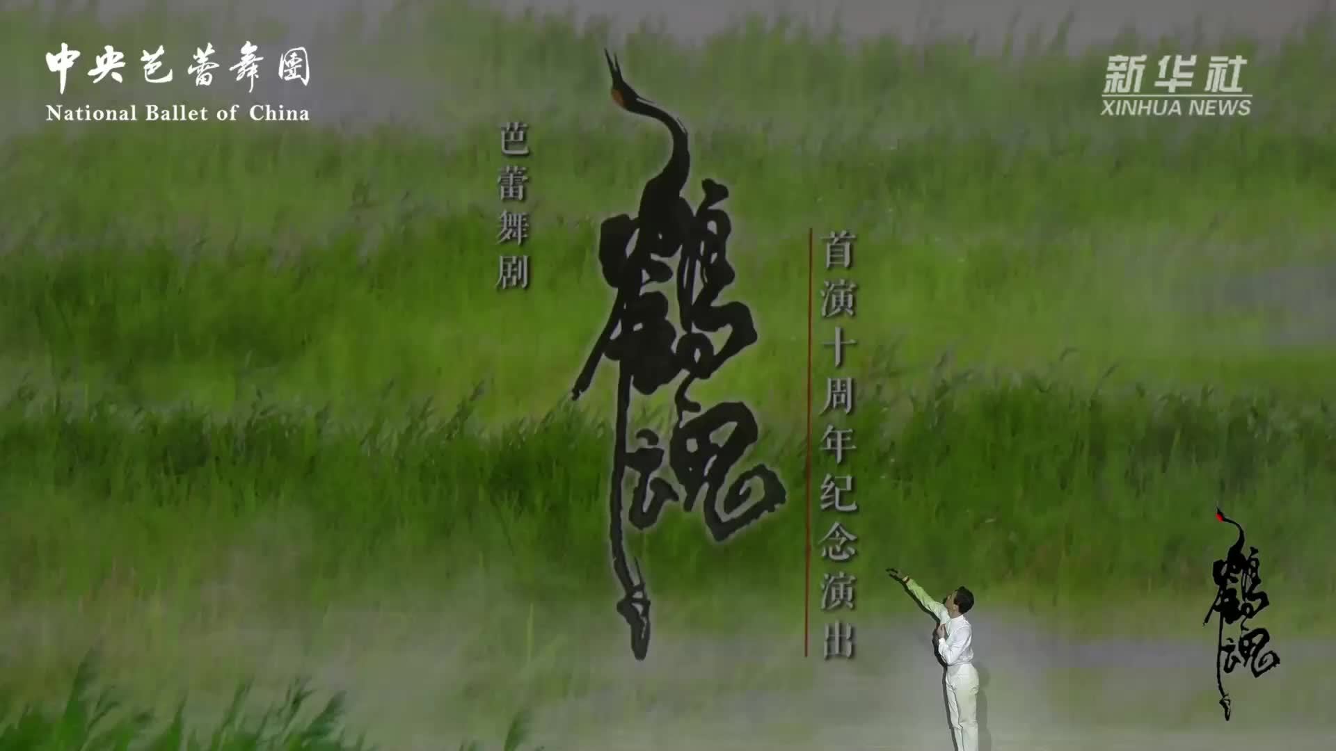 佳作赏析|中央芭蕾舞团原创芭蕾舞剧《鹤魂》