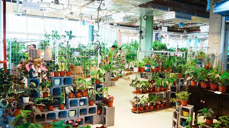 长春惊现“植物科幻城”！8000㎡雨林沙漠里吃饭遛猫，未来感拉满