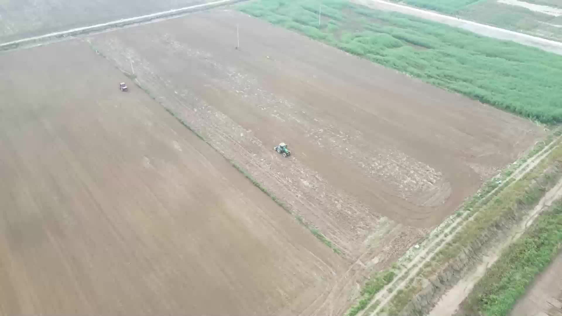 山东利津：生物改良技术推动1.5万亩盐碱地变“米粮川”