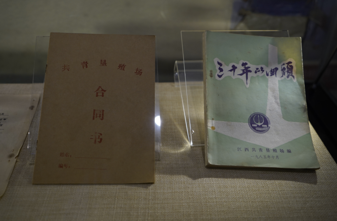 当年的共青垦殖场合同书