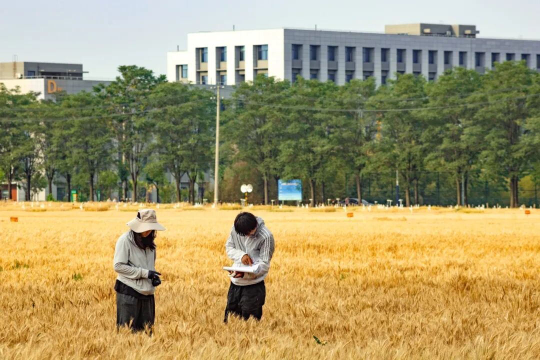 111.jpg