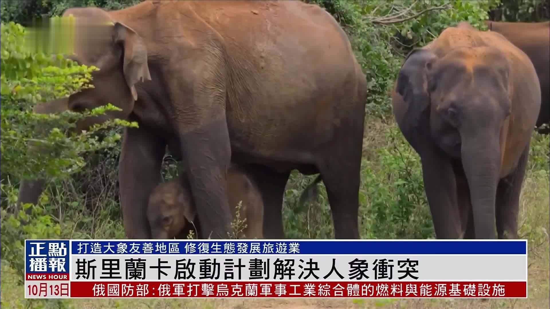 斯里兰卡启动计划解决人象冲突