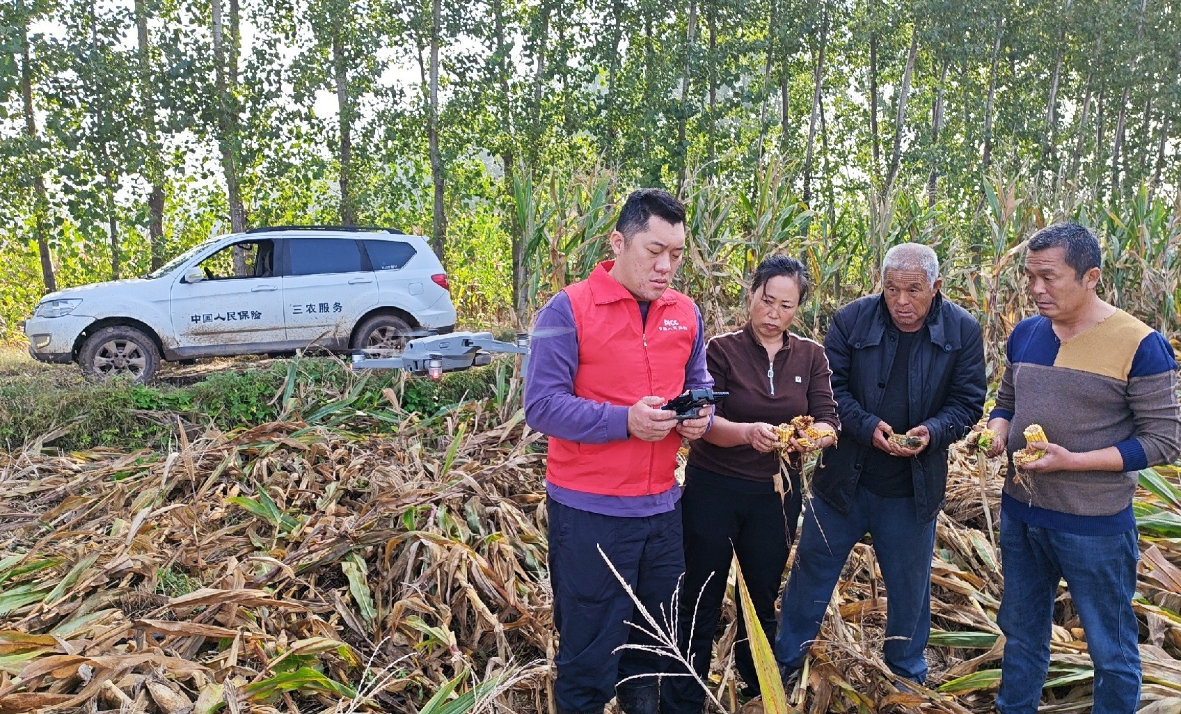 人保“青”力助秋收 快速理赔暖民心--人保财险青岛市分公司为秋粮安全筑牢“防护网”