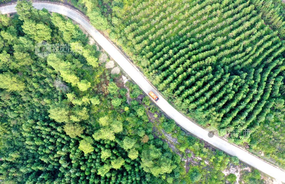 2025年10月15日，江西省吉安市峡江县巴邱镇半专业森林扑火队员驾驶车辆穿越在林区巡逻，并通过小喇叭宣传森林防火知识。