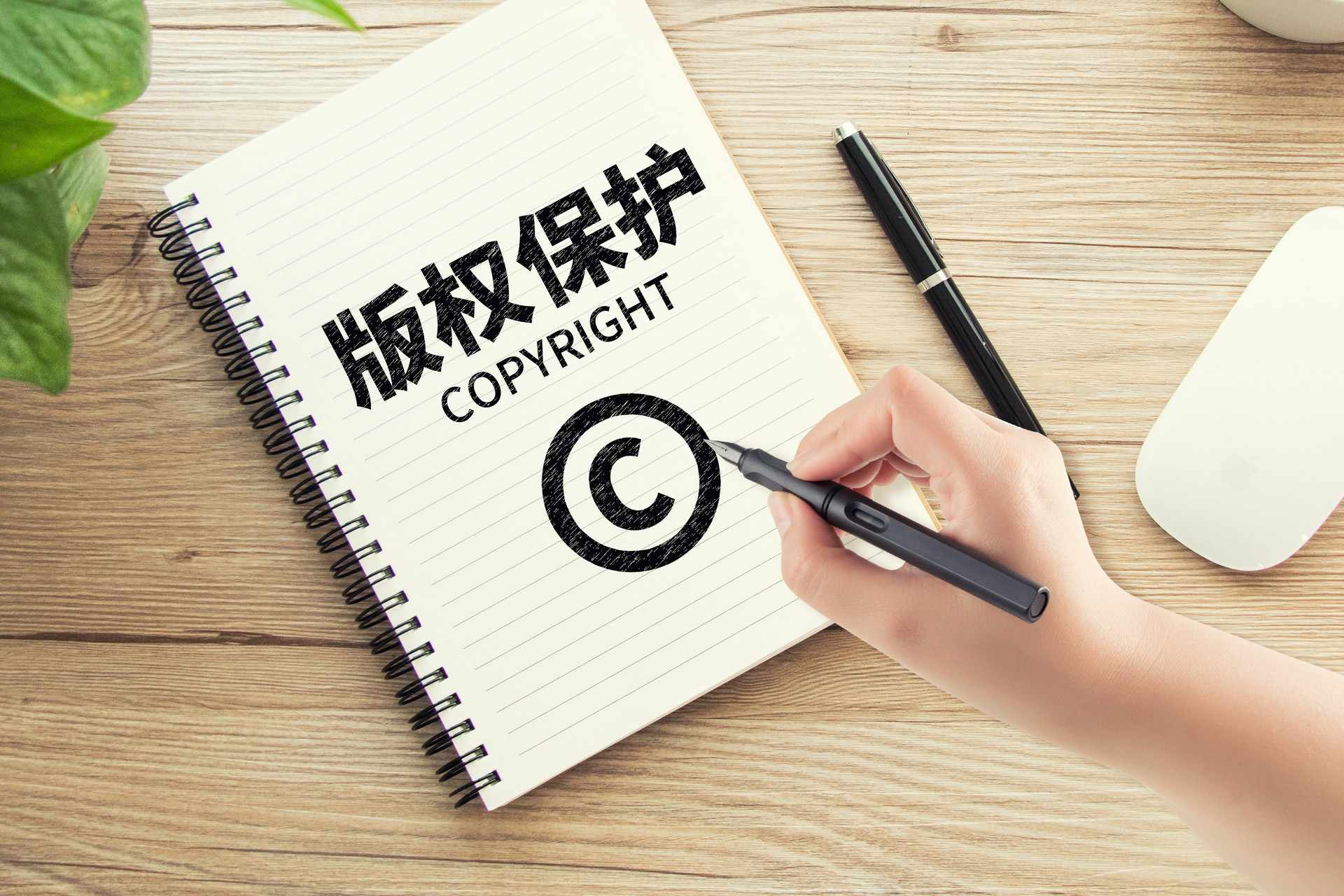 积极落实相关政策 城阳区多措推进青少年版权保护工作