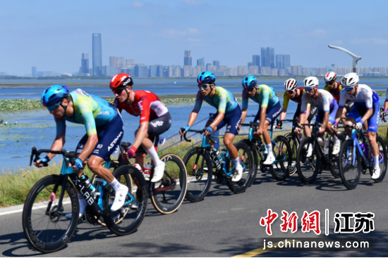 参赛车手在比赛中骑行。2025第十三届环太湖国际公路自行车赛组委会 供图
