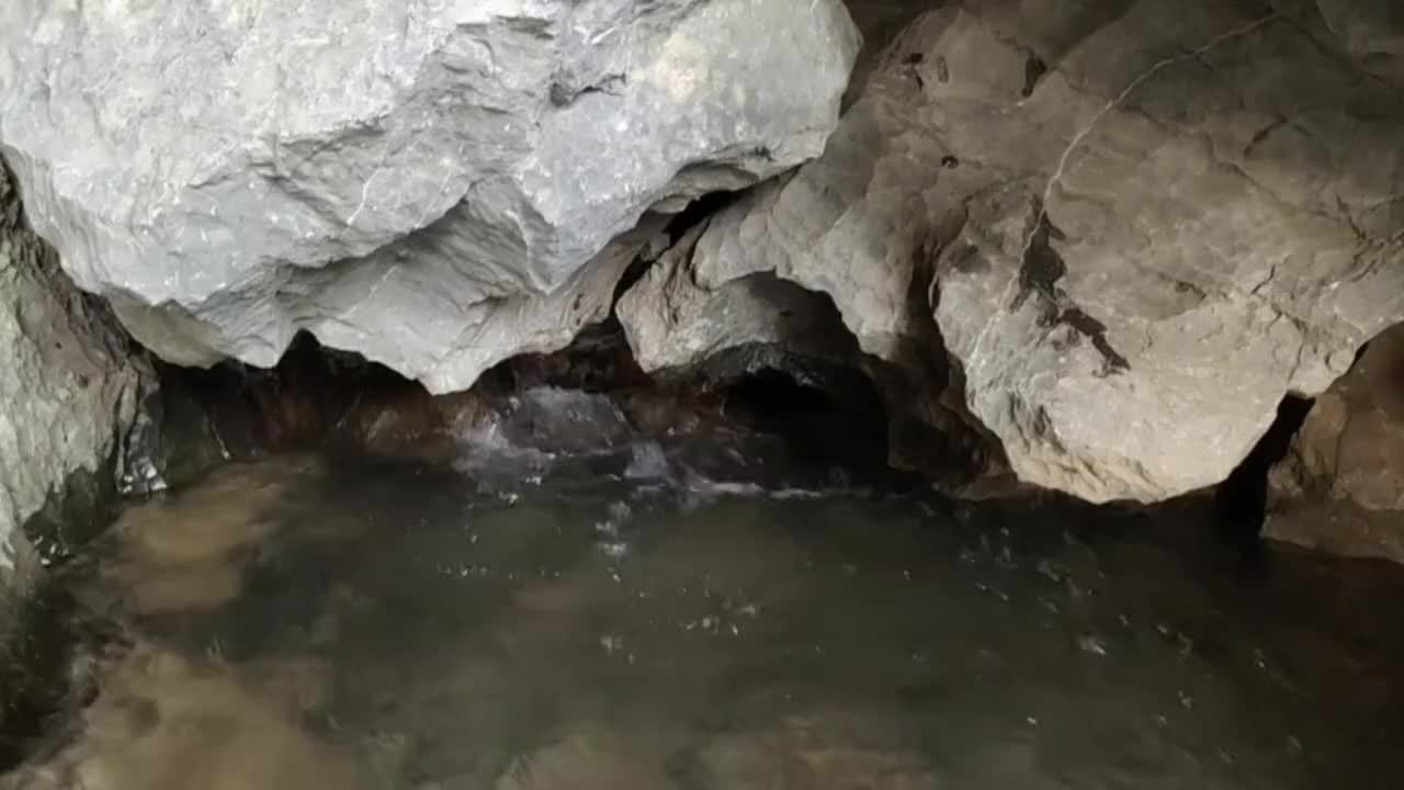 山里的山螃蟹这吃法才叫爽，一口一只，根本停不下来，太过瘾了