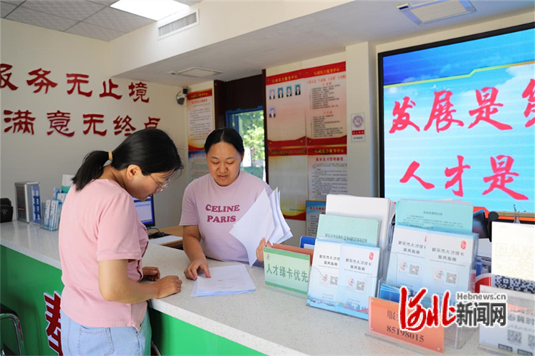 人才服务站工作人员受理新乐市人才绿卡服务申请。