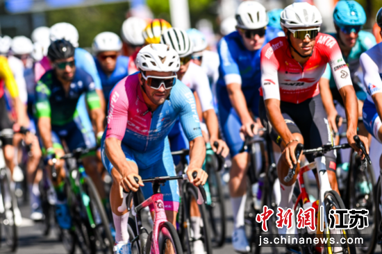 参赛车手在比赛中骑行。2025第十三届环太湖国际公路自行车赛组委会 供图