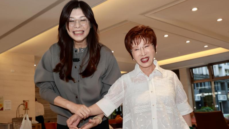 拜访洪秀柱，郑丽文呼吁：国民党主席选举应恢复理性以团结为重