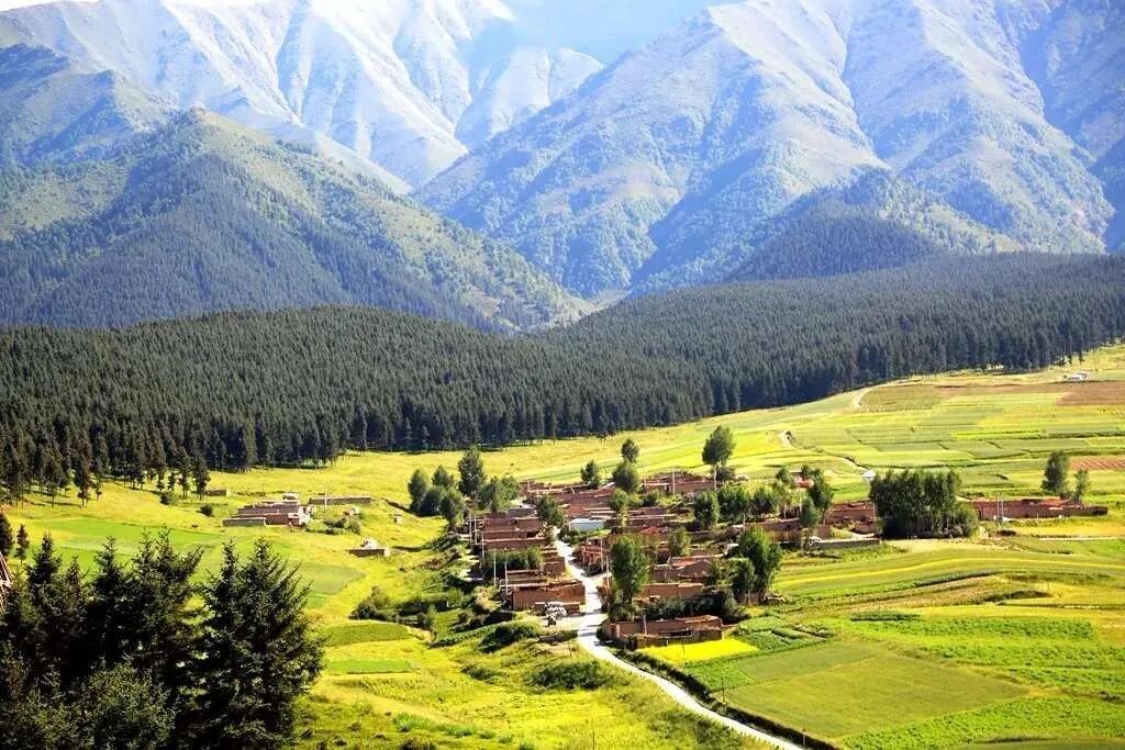 武威“出圈”背后 藏着你没见过的全新玩法