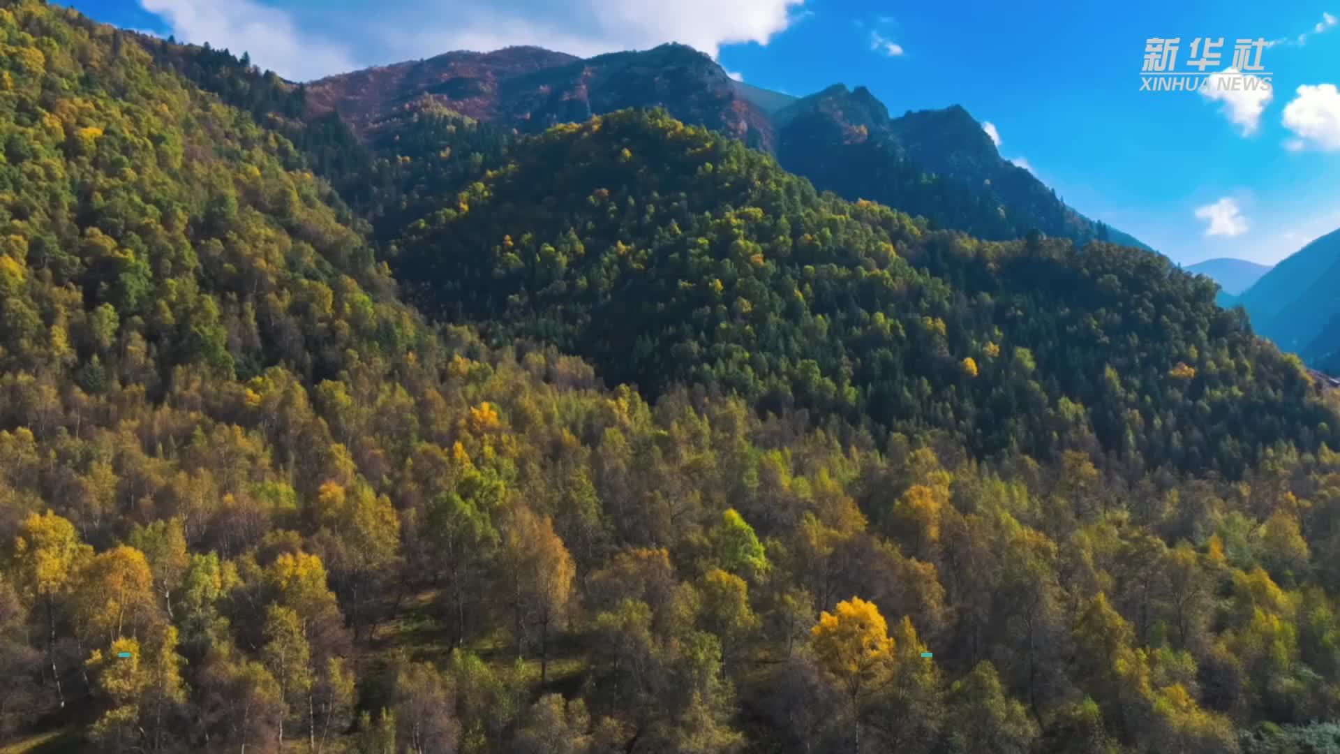 青海循化：水天一色 层林尽染