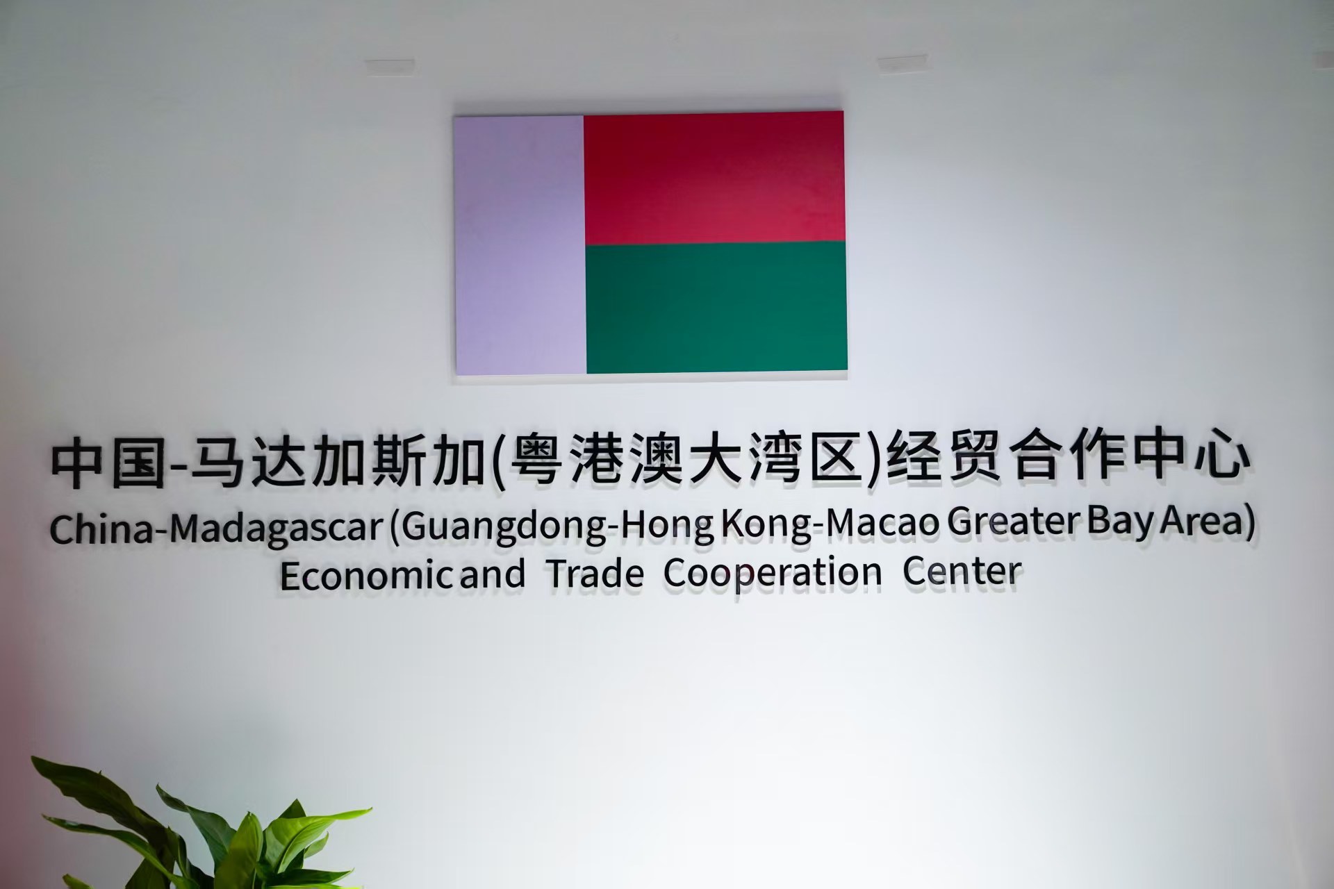 图：中国-马达加斯加(粤港澳大湾区)经贸合作中心