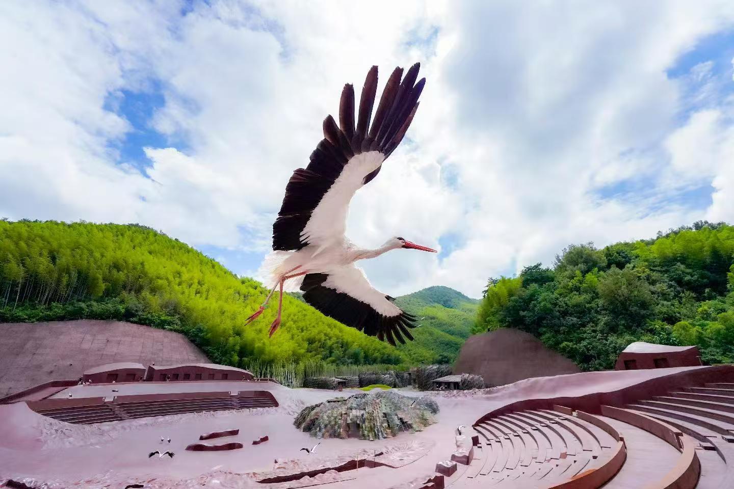 不只是文旅，宜兴阳羡度假区发展有“新算法”！