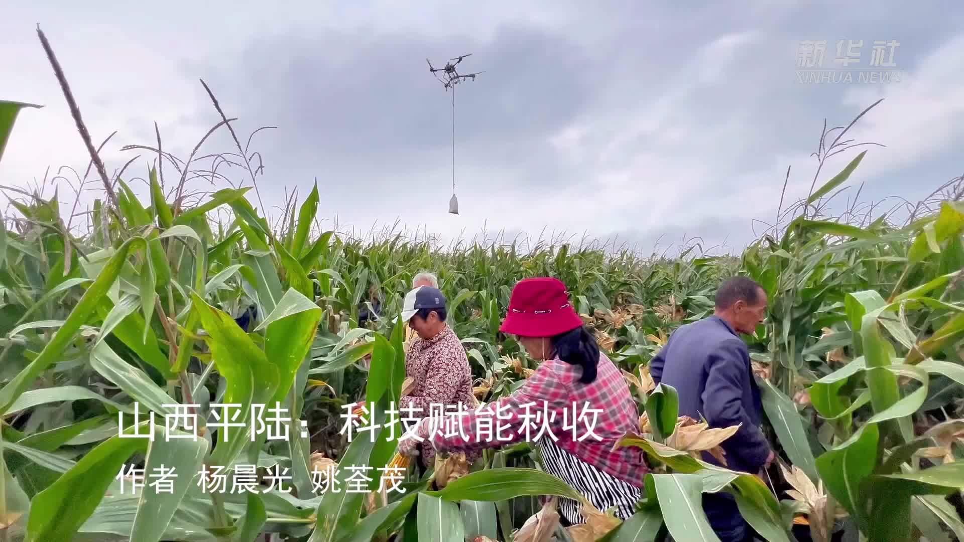 山西平陆：科技赋能秋收