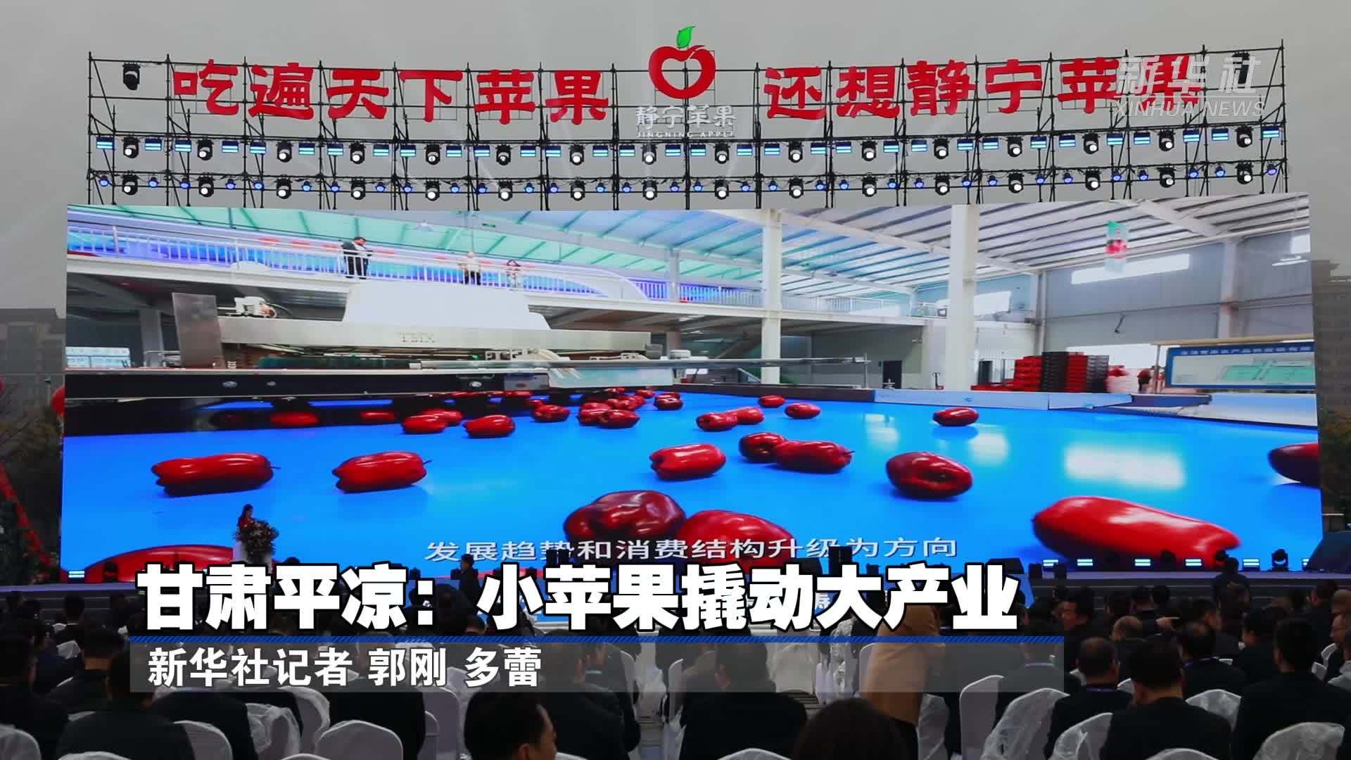 甘肃平凉：小苹果撬动大产业