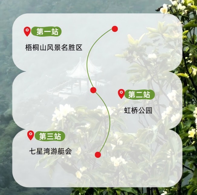 外国网友盛赞的深圳大片，藏着连本地人都不知道的打卡机位