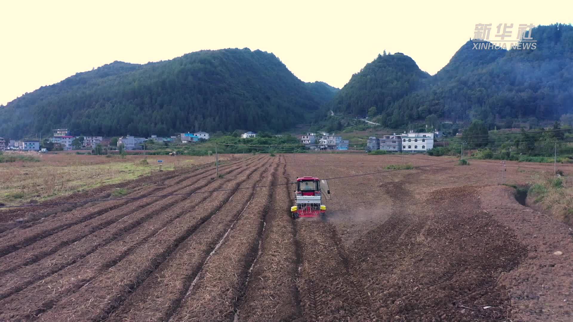 贵州沿河：农机农技齐发力 9.45万亩油菜播种忙