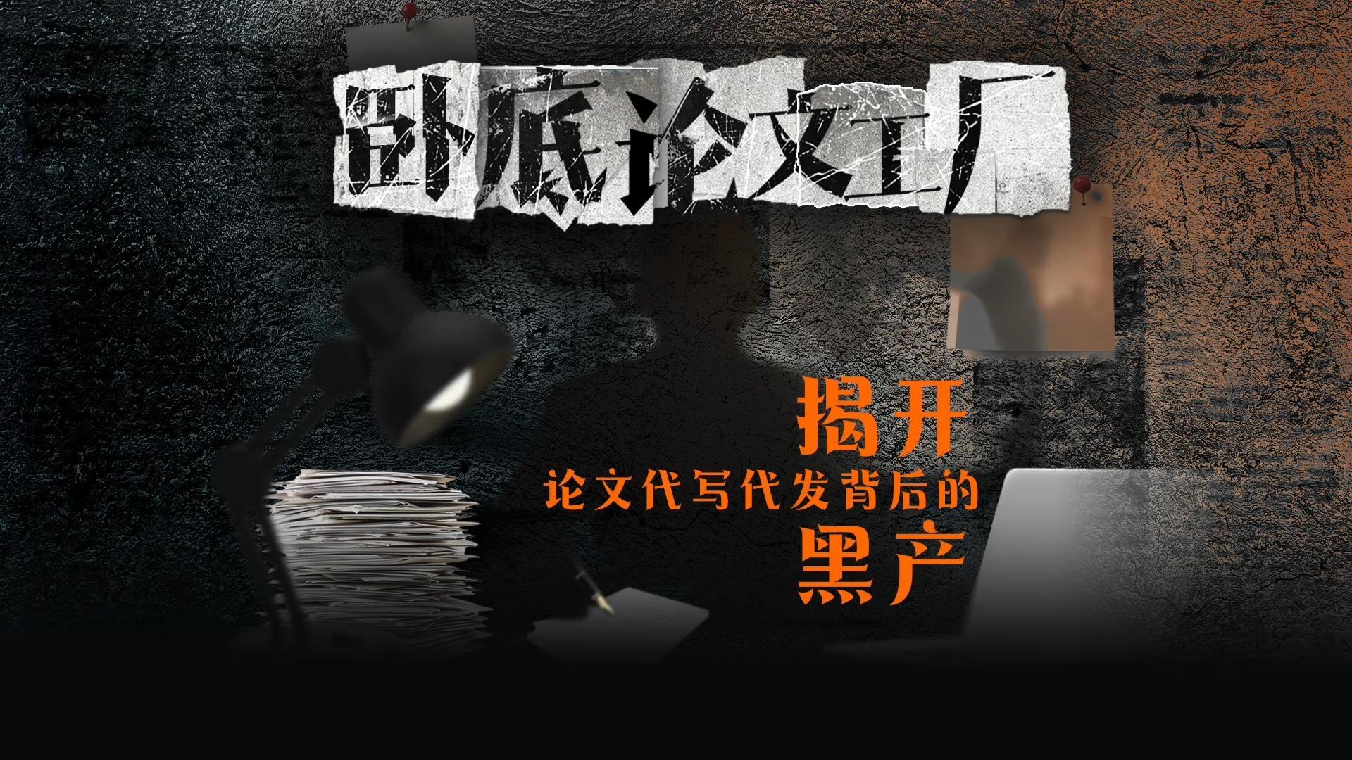 卧底论文代写代发“工厂” ：学历任意编造，负责人自称去年发表13万篇论文赚8000万