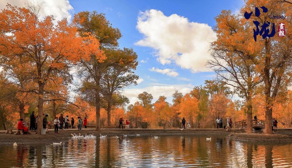 甘肃省沙漠胡杨林 AE0F2D2ED6C4916309F8F01A95BB33F83F3420AD_size691_w1000_h576.jpg