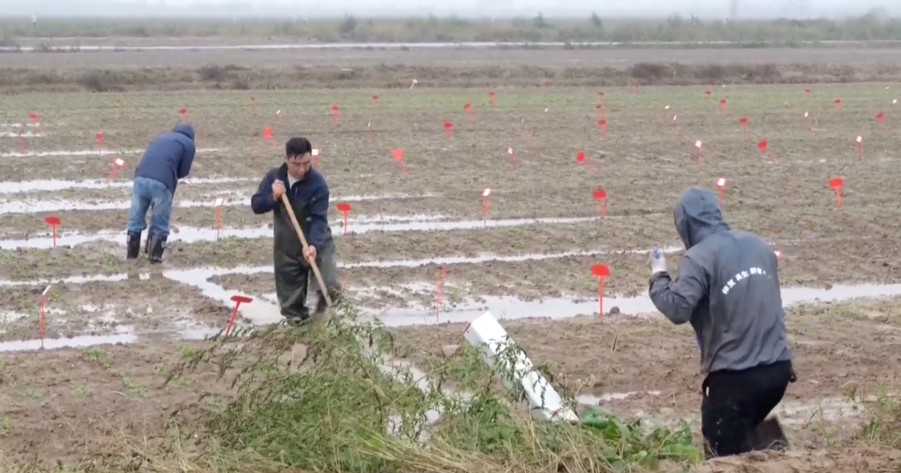 图源：东营广电