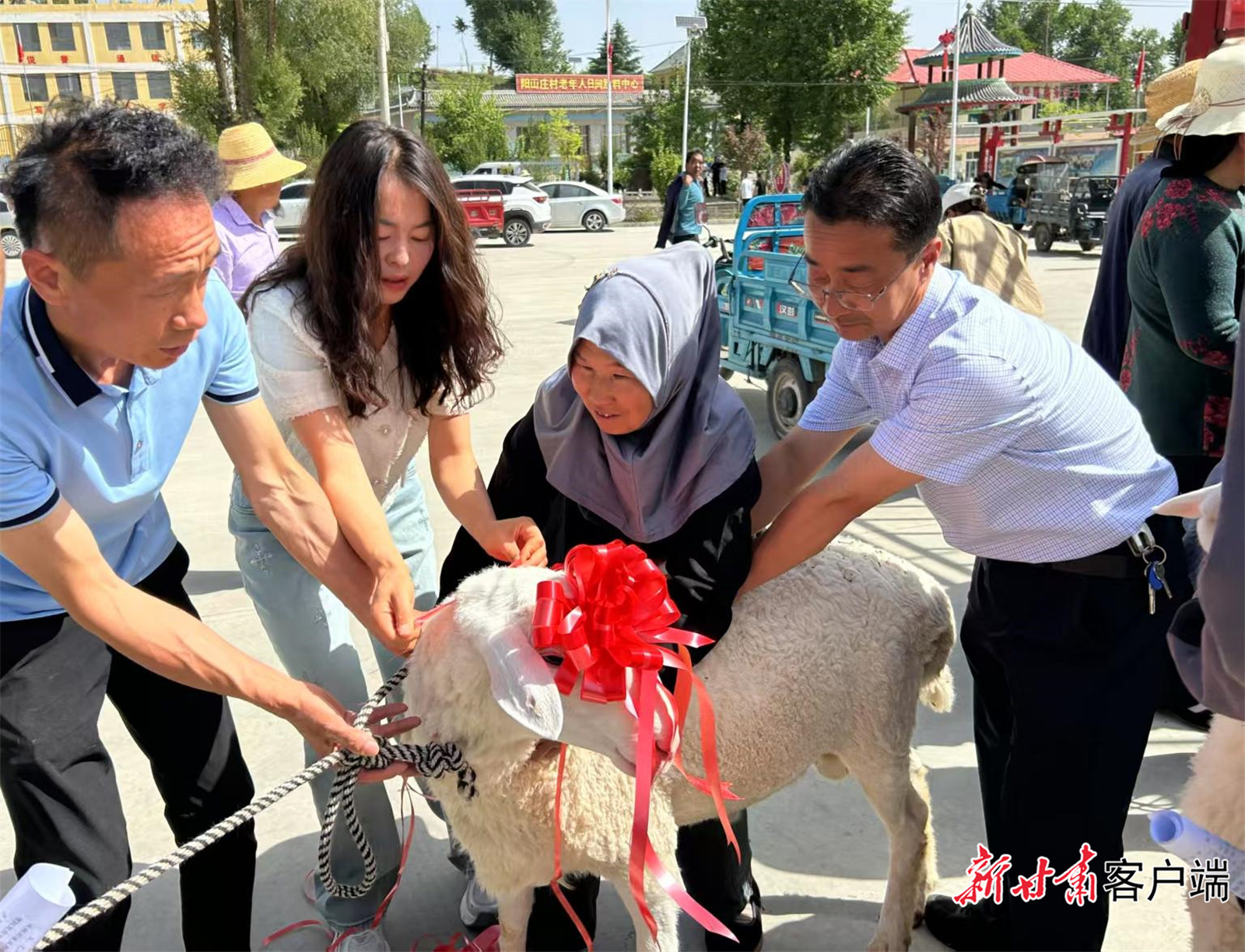 脱贫群众领到了致富帮扶羊