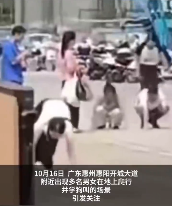 广东惠州街头现多人爬行学狗叫，社区：正在排查是哪家公司