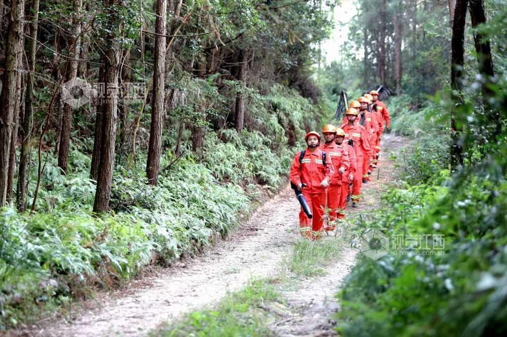 2025年10月15日，江西省吉安市峡江县巴邱镇坳上村，半专业森林扑火队员在进行森林防火巡护。