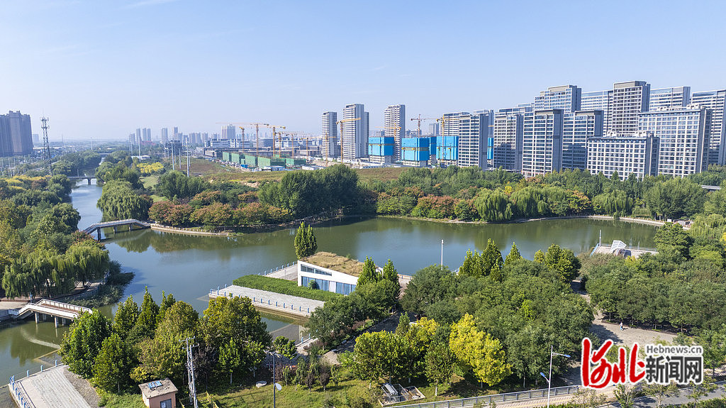 10月15日，郁郁葱葱的楼底公园。