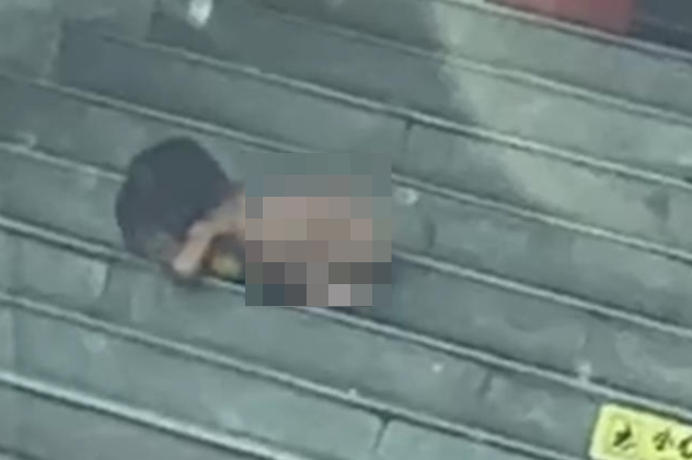 ▲孩子俯身啃咬台阶上的水果 视频截图