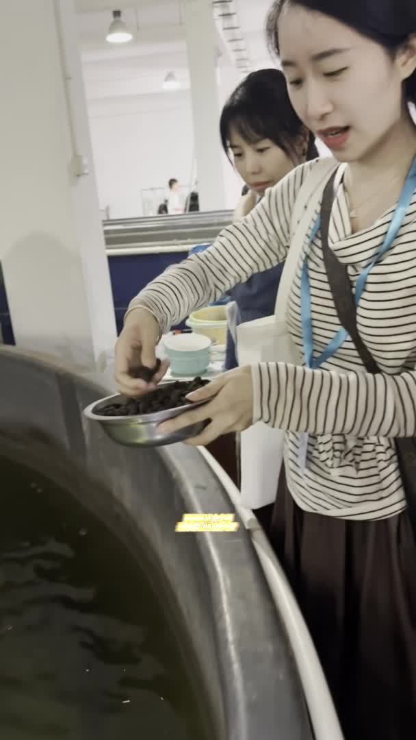 行走江河看中国｜他救下中华鲟，续写生命守护故事