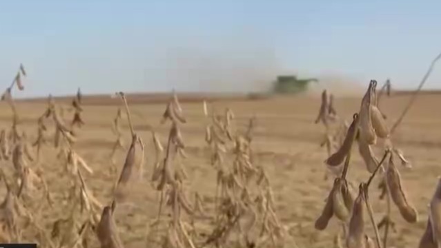 美国豆农愤怒：中国在秘鲁布局深水港，我们大豆都烂在仓库