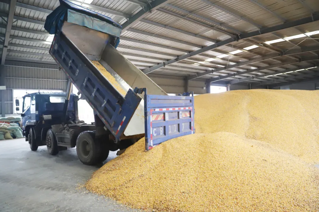 图源：今日新昌邑（微信公众号）