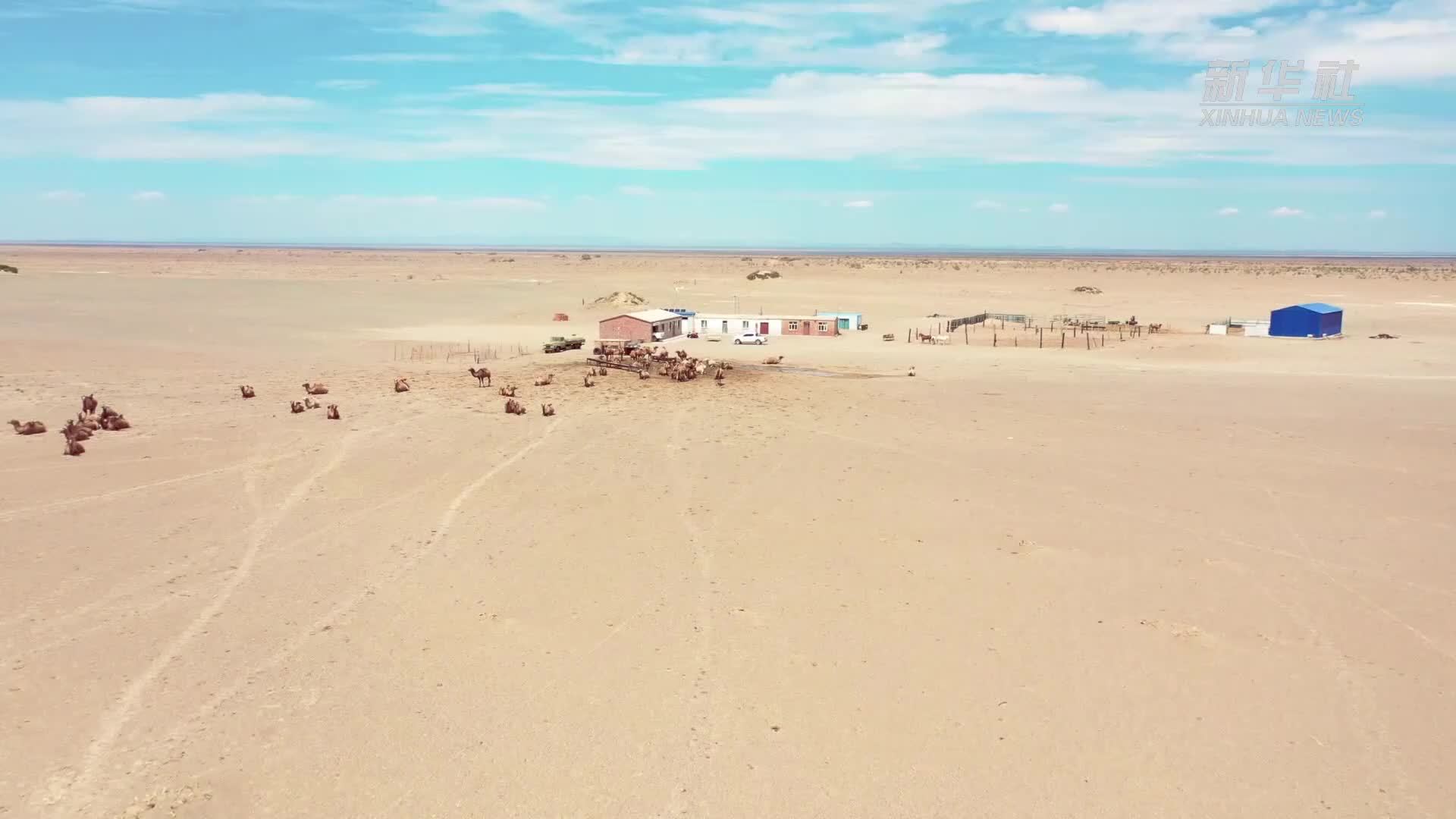 绽放“她”力量｜阿拉善“最美戍边人”