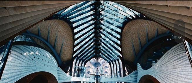 外国网友盛赞的深圳大片，藏着连本地人都不知道的打卡机位