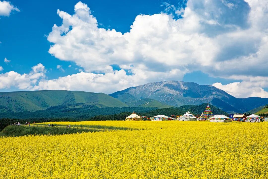 武威“出圈”背后 藏着你没见过的全新玩法