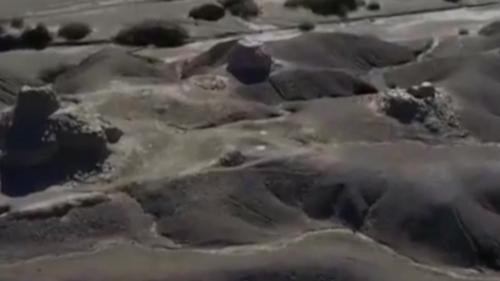 一朵新疆棉 从古“开”到今