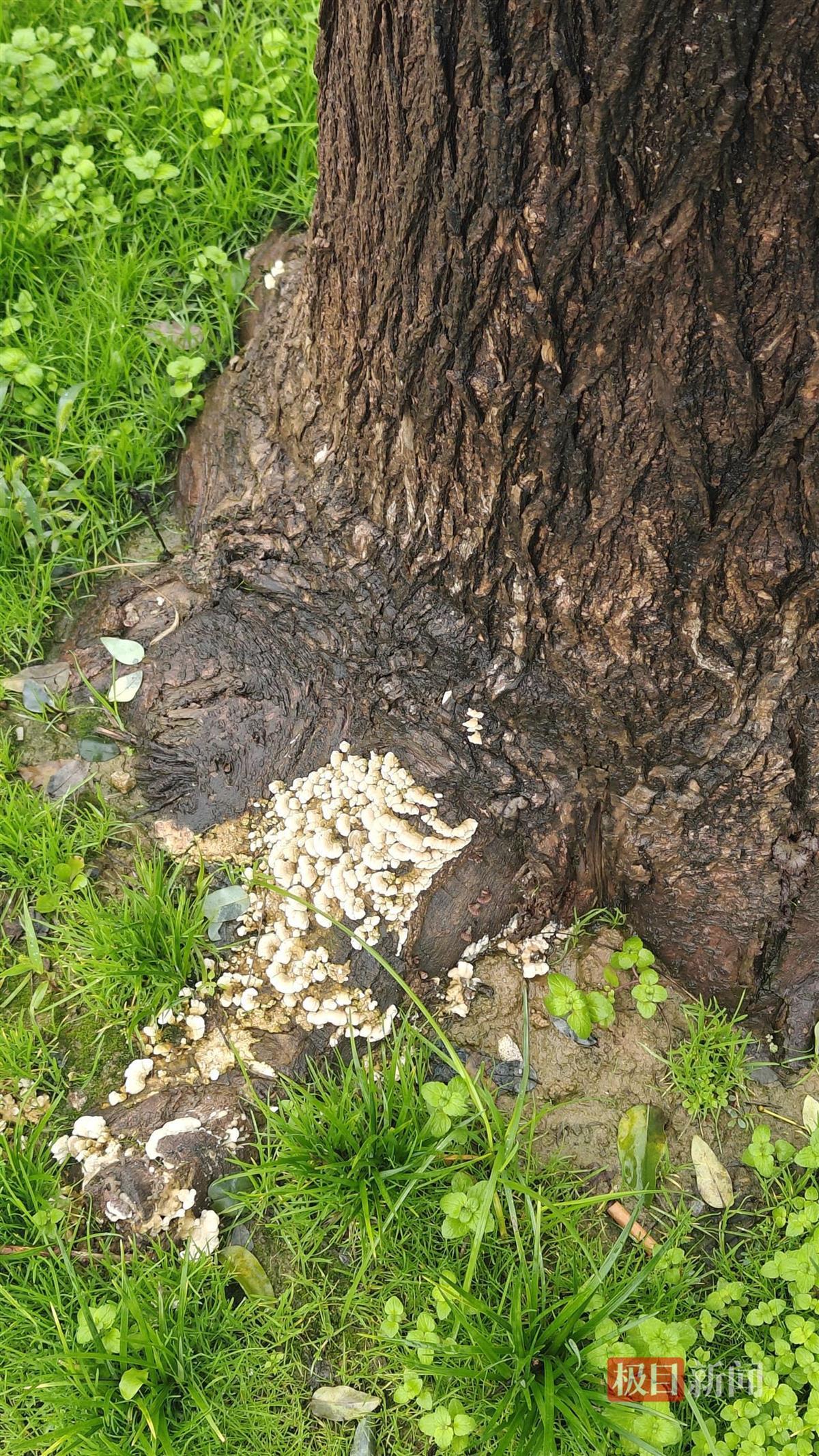 IMG20251012161148.jpg