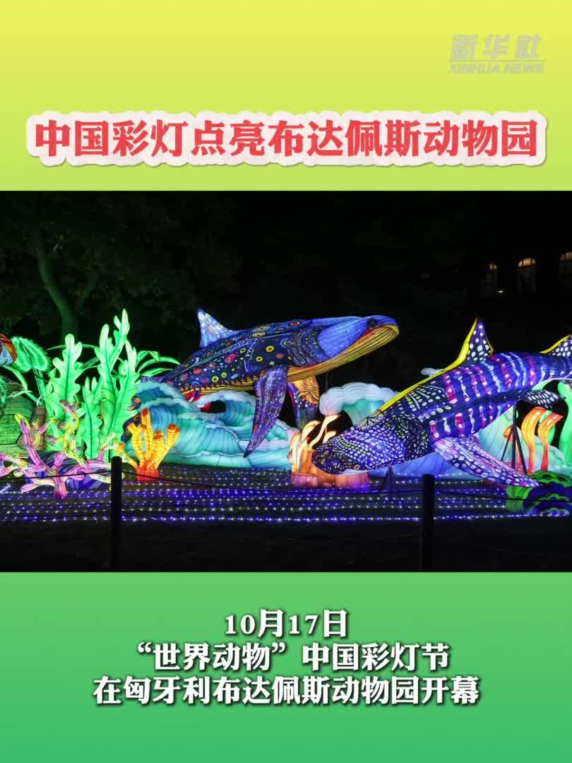 中国彩灯点亮布达佩斯动物园