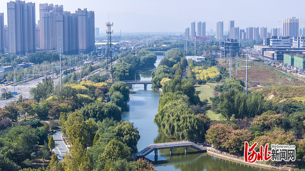 水系两岸绿树成荫。
