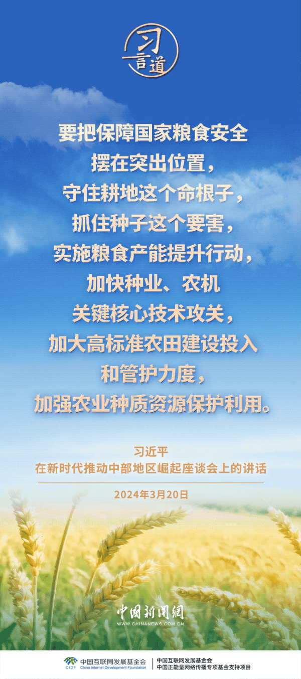 习言道｜粮食安全是战略问题