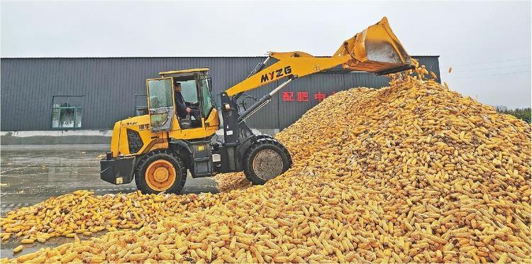 (图源:大众日报)