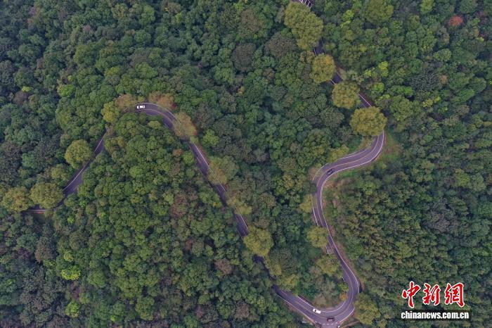 10月16日,车辆在蜿蜒的江西庐山登山公路上行驶。(无人机照片)中新社记者 刘占昆 摄