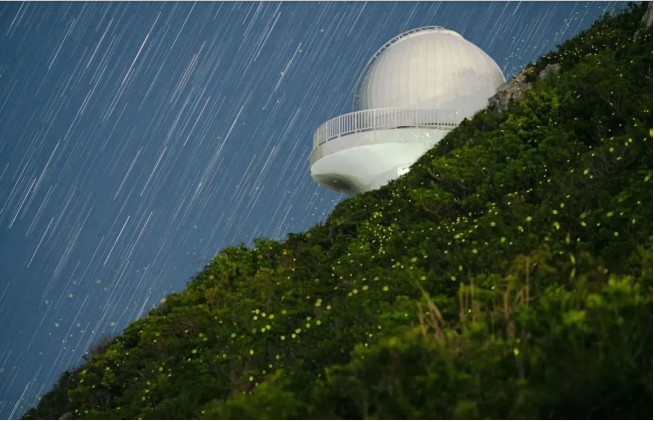 外国网友盛赞的深圳大片，藏着连本地人都不知道的打卡机位