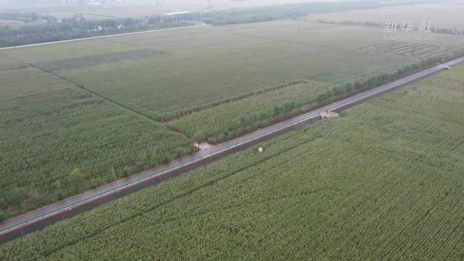 河南：开足马力抢烘秋粮