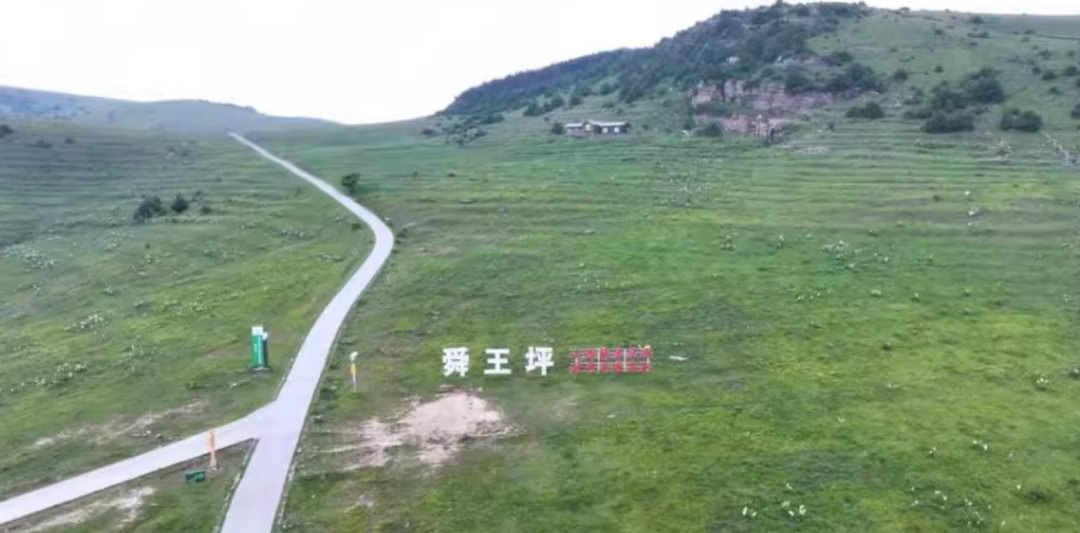 来源：阿里拍卖平台官网