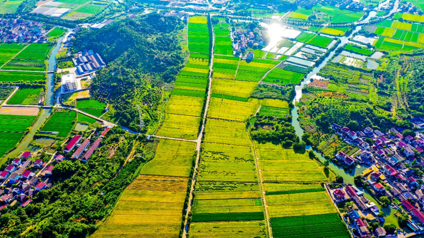 余姚稻麦科技小院全景。