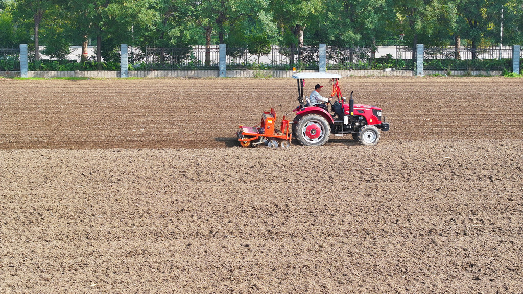 10月22日，农民驾驶播种机在邢台经济开发区王快镇南厂社区农田播种冬小麦。