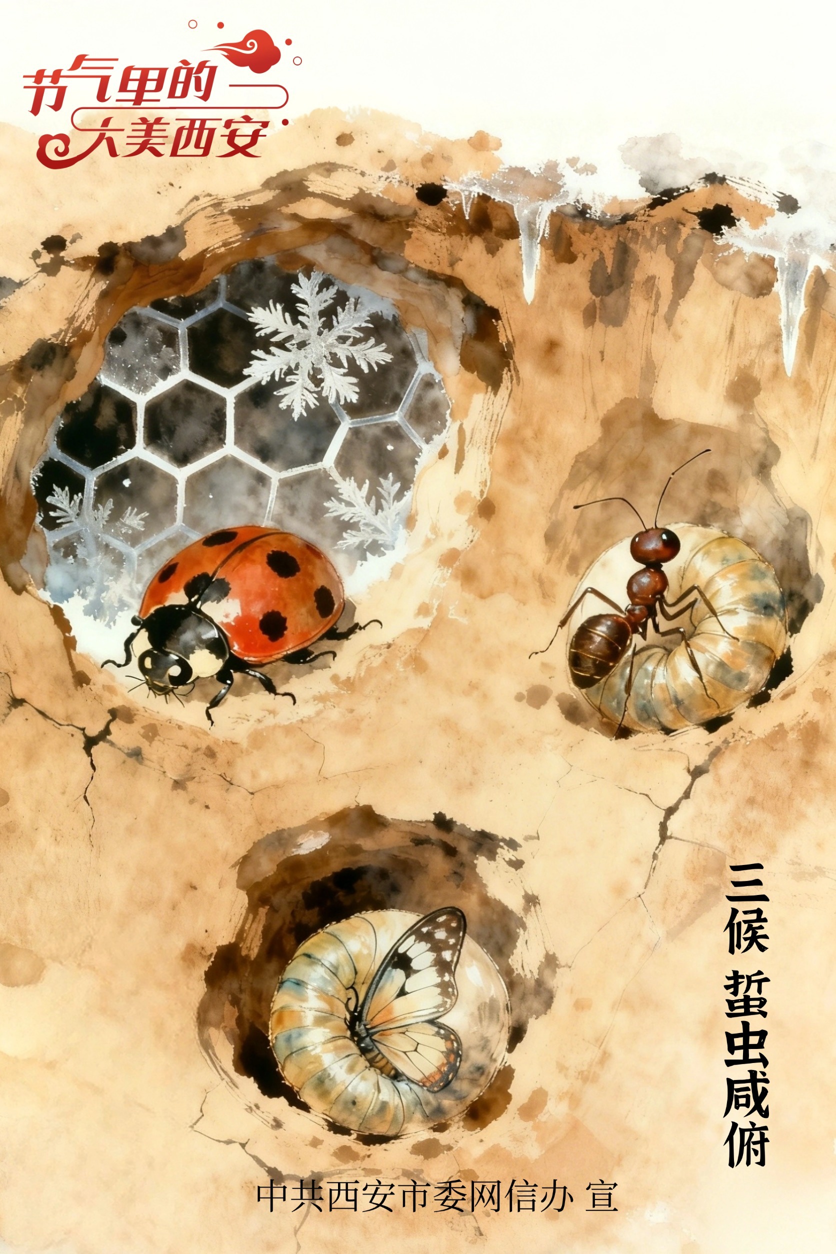节气里的大美西安 | 今日霜降 一朝秋暮遍地霜华